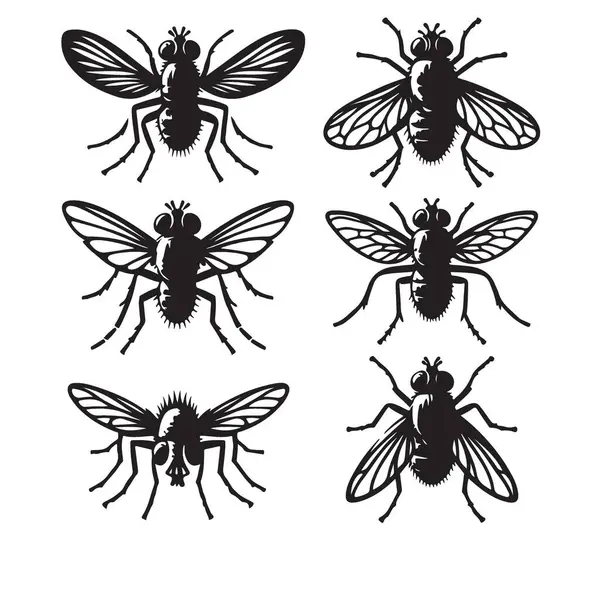 Bilim Eğitimi İçin Sinek Koleksiyonunun Vektör Silueti Resimleri