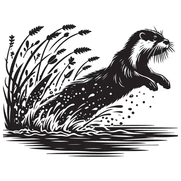 Siluet Susamuru Sıçrayan Su Resimleri Vektör Vahşi Yaşam Tasarımı