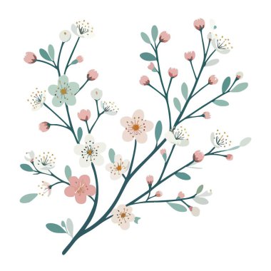 Çiçek açan resimler narin bahar çiçekleri çiçek dalları