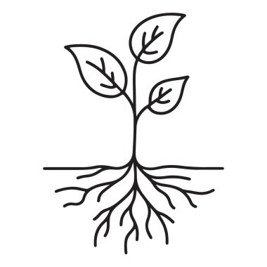 Büyüme ve Doğa için Kök Vektör İllüstrasyonlu Bitki