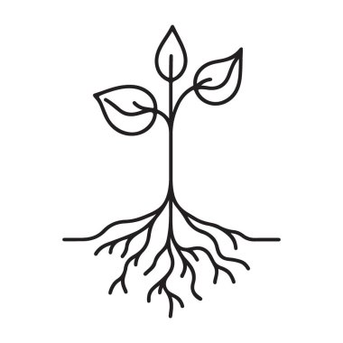 Filiz Tohumlama Vektörü İllüstrasyonu Yeni Büyümenin Sembolü