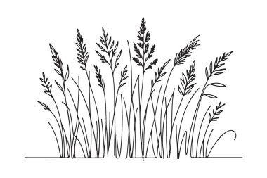 Zarif El Buğday Vektörü Sanat İllüstrasyonu Tarlası