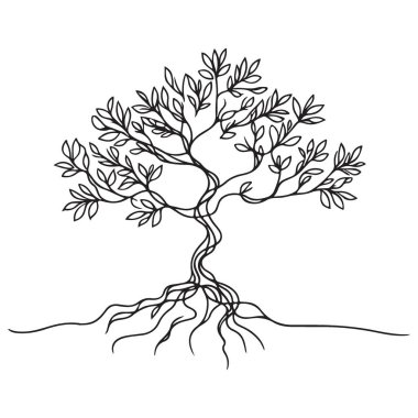 Kökleri ve Yaprakları Olan Şekillendirilmiş Ağaç Vektör Çizgisi Resim Çizimi