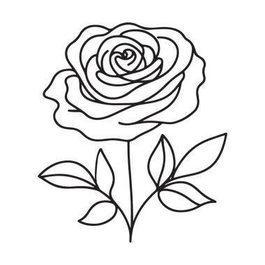 Zarif Gül Çiçeği Çizgisi Sanat Vektörü Grafik Tasarım Elemanı Şablonu