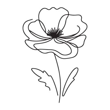 Zarif Poppy Çiçek Vektör İllüstrasyonu, Botanik Sanat ve Tasarım