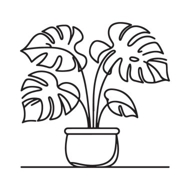 Monstera Bitki Vektör İllüstrasyonu, Tropikal Ev Bitkisi Tasarımı Elementi