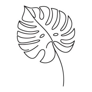 Minimalist Canavar Yaprak Çizgisi Sanat Botanik Çizim Tropikal Tasarım