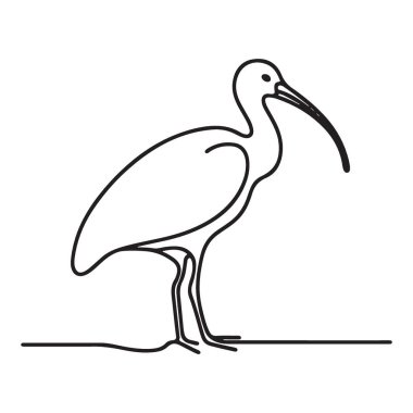 Zarif Ibis Kuş Görünümü Basit Tek Çizgi Çizim Biçimi