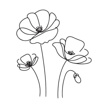 Haşhaş Botanik Çizgisi Sanat Resimleri Grubu Zarif Çiçek Tasarımı