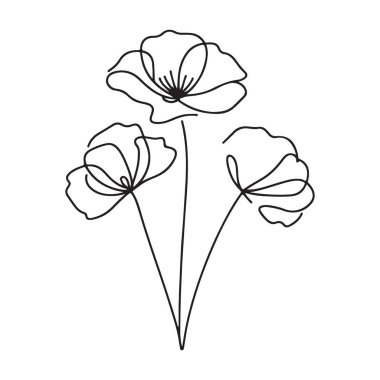 Haşhaş Buketinin Zarif Çizgisi Sanat Çiçek Vektörü İllüstrasyonu