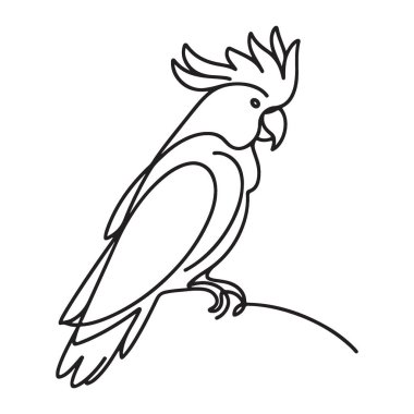 Kakadu Silueti Görüntü Vektör Kuş Sanat Tasarımı