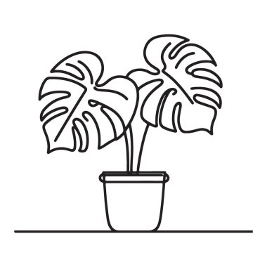 Modern Ev Dekorasyonu İçin Bir Satırlık Canavar Bitkisi Çizimi