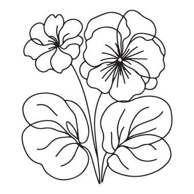 Botanik Tasarımları için Zarif Pansy Çiçek Çizgisi Sanat İllüstrasyonu