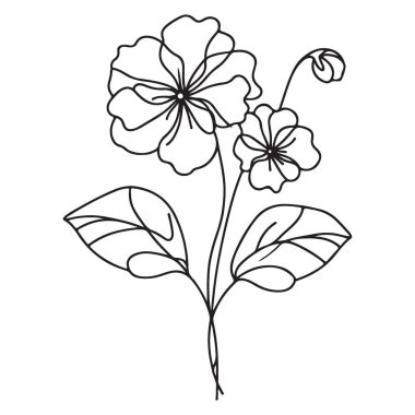 Hassas Pansy Çiçekleri Tek Çizgili Çizim Vektörü Resim Çizimi