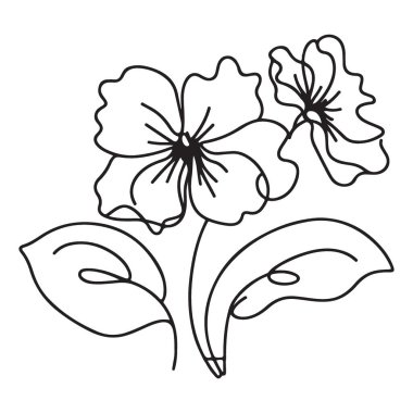 Bir çizgi narin çiçek açar, iki çiçek açar.