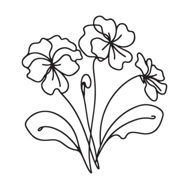 Zarif bir Pansy Çiçeği Buketinin Çekici Süreklilik Çizgisi