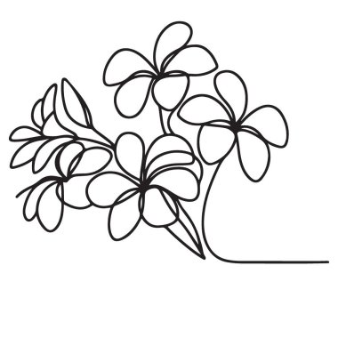 Tropikal Plumeria Çiçek Kümesinin Minimalist Tek Çizgisi