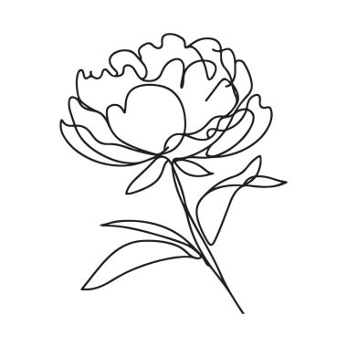 Botanik Tasarımları için zarif Şakayık Çiçeği Tek Çizgili Sanat Vektörü