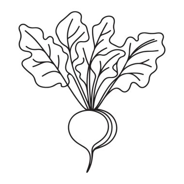 Sağlıklı Yeme Yapraklı Pancar Bitkisinin Vektör İllüstrasyonu