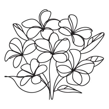 Tropikal Tasarımlar için Plumeria Çiçek Buket Vektörü İllüstrasyonu