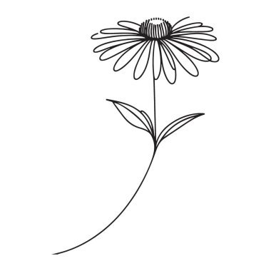 Siyah Gözlü Susan Tek Çizgili Zarif Minimalist Tasarım