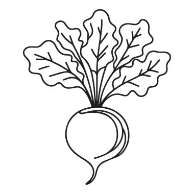 Pancar Kökü Çizimi Kök Sebze Minimalist Grafik Tasarımı