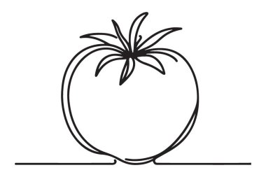 Sağlıklı Gıda Tasarımları İçin Taze Kırmızı Domates Vektörü İllüstrasyonu