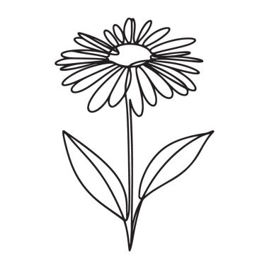 Bahar ve Çiçek Tasarımları için Daisy Çiçek Vektör İllüstrasyonu