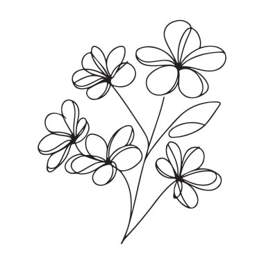Narin Çiçek Çiçeği Çizgisi Basit Çiçek Buketi Çizimi