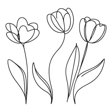 Minimalist Lale Çiçekleri Hattı İllüstrasyon İllüstrasyonu Bahar Tasarımı