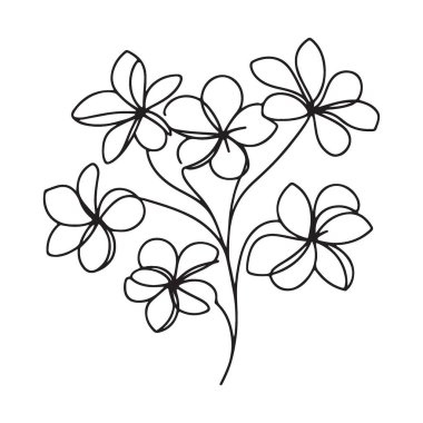 Plumeria çiçeği sürekli çizimi minimalist çiçek tasarımları için mükemmeldir.