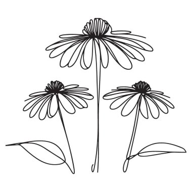 Hassas Coneflower Siluet Resimlendirme Vektör Sanat Grafiksel Elementi