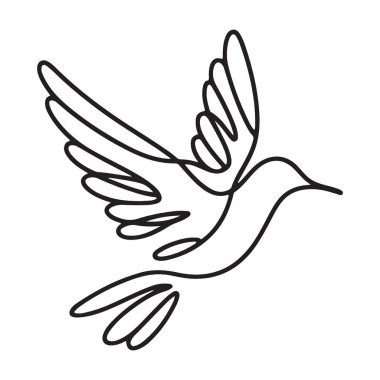 Zarif Sinekkuşu Görüntü Tanıtım Vektörü Grafik Tasarımı