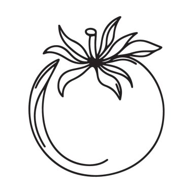 Taze Domates Vektörü Silueti Sağlıklı ve Basit Yemek Çizimi