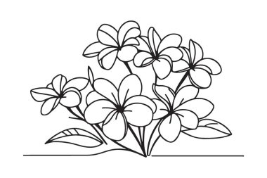 Hassas Yapraklar ve Yapraklarla Zarif Çiçek Vektörü İllüstrasyonu