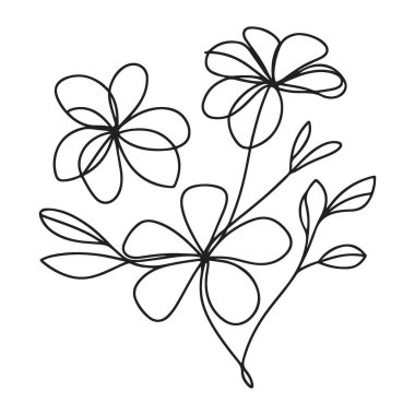 Botanik Çiçek Çizgisi Çizim Tasarımı