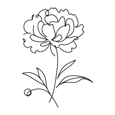 Şık Şakayık Çiçek Çizgisi Düğün ve Botanik Tasarımları Sanat İllüstrasyonu