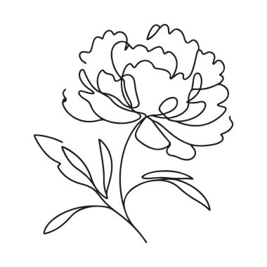 Peony Flower One Line Art Vector Illustration Modern Şablon