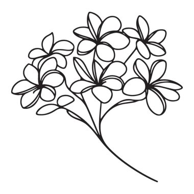 Minimalist Çiçek Çiçek Kümesinin Çiçek İllüstrasyonu