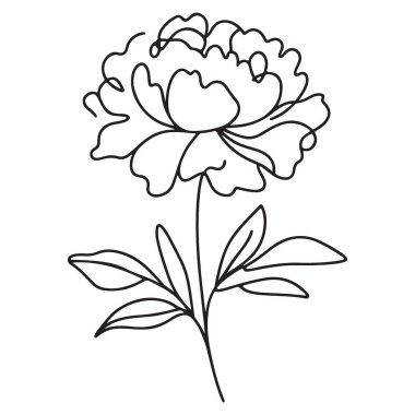 Zarif Şakayık Çiçek Çizgisi Zarif Çiçek Tasarımları Sanat İllüstrasyonu