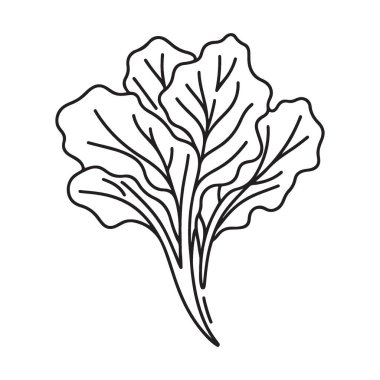 Taze Marul Sebze Minimalist Tek Satır Sanat Tasarımı