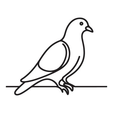 Ayrıntılı Güvercin Bir Şube Çizgisi Sanat Vektörü Çizim Çizimi