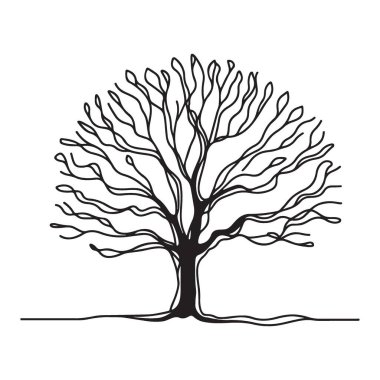 Çıplak Ağaç Resimlerinin Silueti Ayrıntılı Dallar ve Kökler