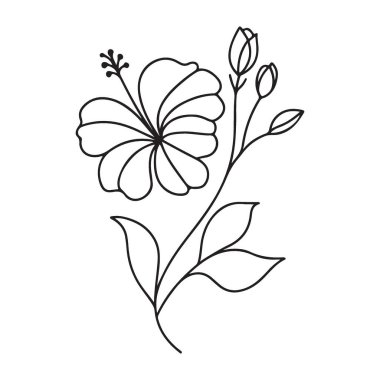 Hibiscus Çiçek Dalları Çiçek Çiçeği Botanik Çizgisi Sanat Vektörü