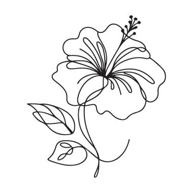 Egzotik Hibiscus Çiçek Silueti Çizim Sanatı Çizimi