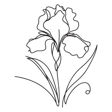 Güzel İris Çiçeği Tek Çizgili Sanat Çizim Vektörü Grafiği