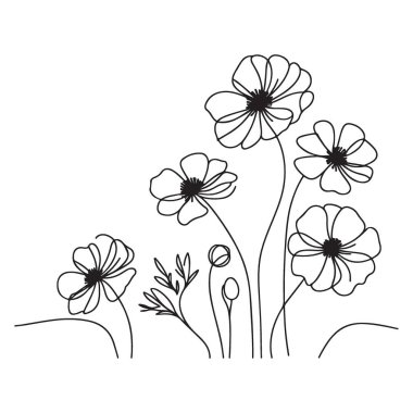 Poppy Flowers İllüstrasyon Minimalist Çiçek Tasarım Doğa Çizgisi Sanatı