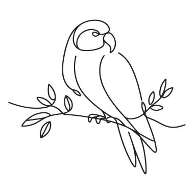 Branch Bird Illustration Egzotik Vahşi Yaşam Tasarımı Üzerine Zarif Papağan Silueti