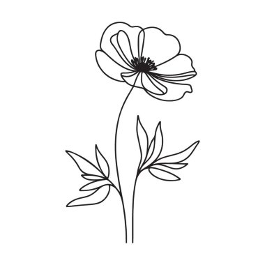 Zarif Çiçek Silueti Poppy Çiçeği Çiçeği ve Yaprakları Çizimi
