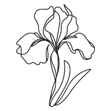 Zarif İris Çiçeği Bir Satır Yaratıcı Tasarım için Sanat Silüeti